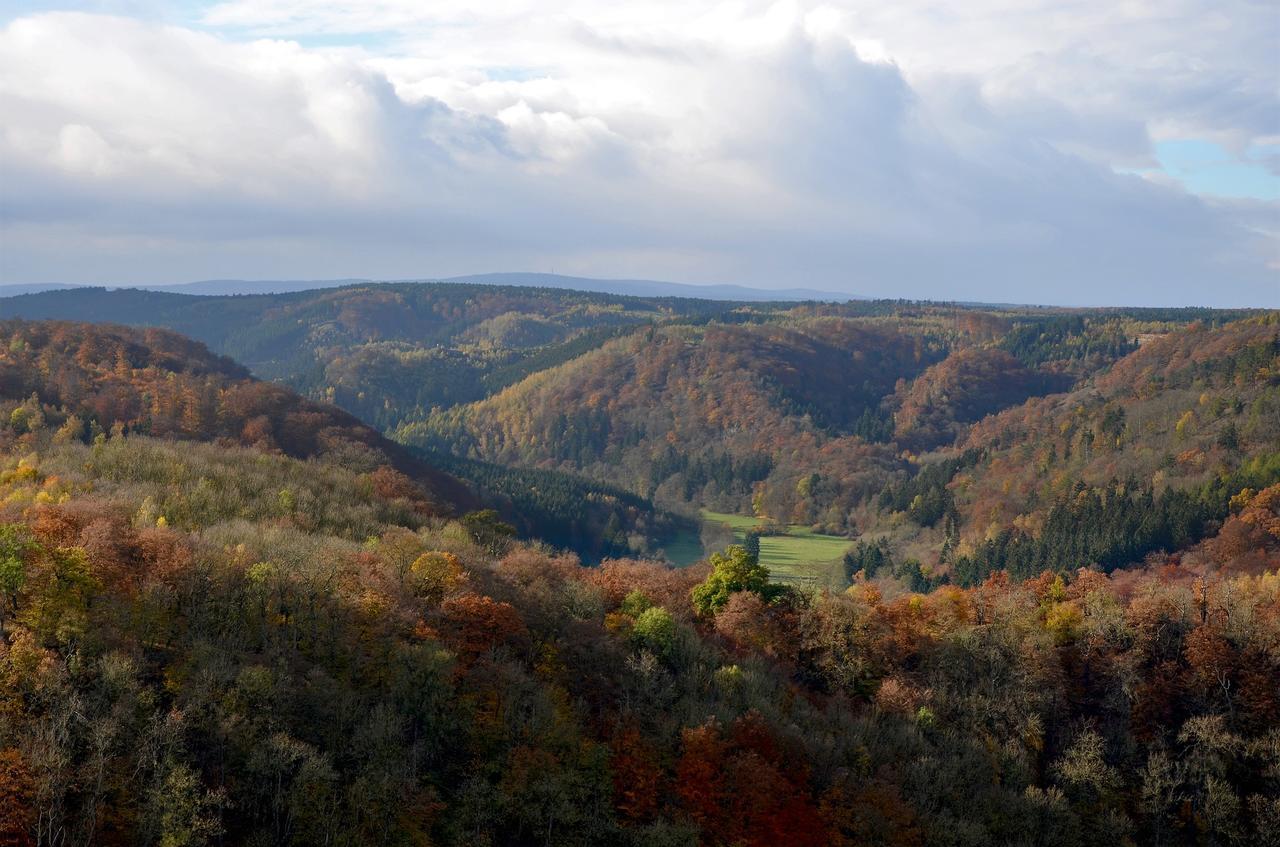 Das Tann Rooms & Wine Thale Exteriör bild
